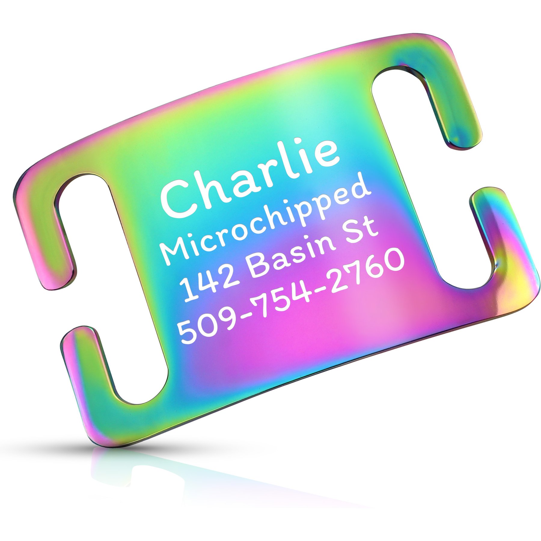 GoTags Personalized Polished Stainless Steel Nameplate Slide-On Dog ID Tag, Multicolor, Large