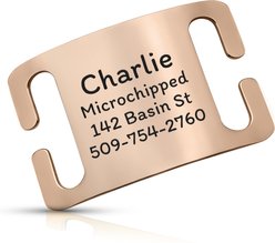 GoTags Personalized Polished Stainless Steel Nameplate Slide-On Dog ID Tag, Peach, Large