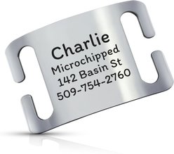 GoTags Personalized Polished Stainless Steel Nameplate Slide-On Dog ID Tag, Platinum, Large