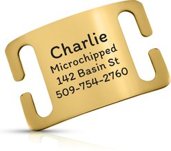 GoTags Personalized Polished Stainless Steel Nameplate Slide-On Dog ID Tag, Golden, Large