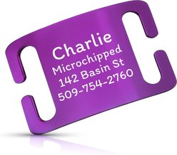 GoTags Personalized Polished Stainless Steel Nameplate Slide-On Dog ID Tag, Violet, Large slide 1 of 7