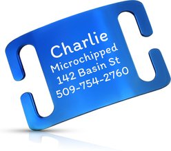GoTags Personalized Polished Stainless Steel Nameplate Slide-On Dog ID Tag, Navy, Large