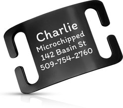 GoTags Personalized Polished Stainless Steel Nameplate Slide-On Dog ID Tag, Onyx, Large