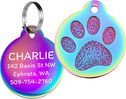 GoTags Personalized Paw Print Round Polished Stainless Steel Dog & Cat Tag, Multicolor, Regular