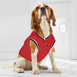 Pets First NBA Chicago Bulls Basketball Mesh Dog Jersey, X-Large slide 2 of 5