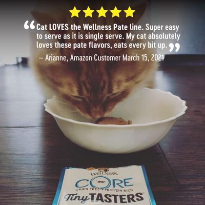 Show full view: Wellness CORE Tiny Tasters Pate Chicken Natural Grain-Free Wet Cat Food, 1.75-oz pouch, case of 12 slide 5 of 11
