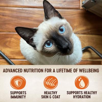 Show full view: Wellness CORE Tiny Tasters Pate Chicken Natural Grain-Free Wet Cat Food, 1.75-oz pouch, case of 12 slide 4 of 11