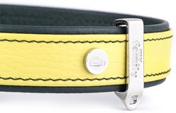 myfamily Firenze Dog Collar, Yellow, Large: 17 to 20-in neck, 1-in wide slide 2 of 4