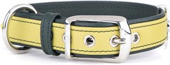 myfamily Firenze Dog Collar, Yellow, X-Large: 17 to 21-in neck, 1.375-in wide