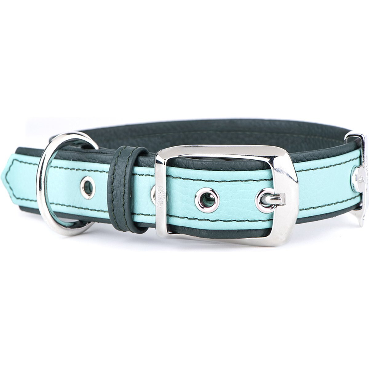 myfamily Firenze Genuine Italian Leather Dog Collar, Acqua, Small/Medium: 11.5 to 14-in neck, 7/8-in wide