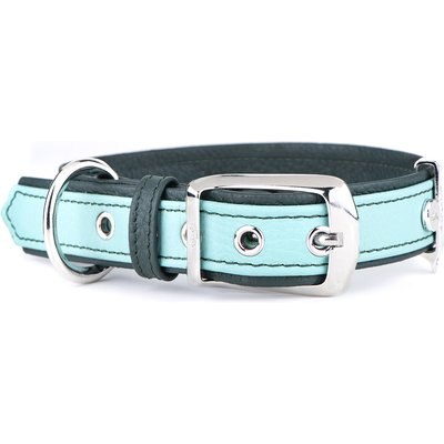 myfamily myfamily Firenze Genuine Italian Leather Dog Collar, Acqua, Small/Medium: 11.5 to 14-in neck, 7/8-in wide
