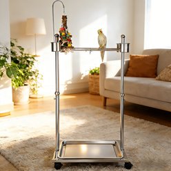 NonoPets Rolling Stainless Steel Training Stand, Height Adjustable T-Perch Bird Play Gym with Dual Feeding Bowls, 25.6 x 17.3 x 57.1-in