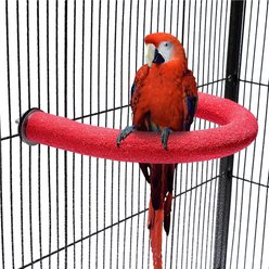 NonoPets U-Shaped Quartz Large 10-in Non-Slip Pedicure Standing Bar, Durable Nail Trimming Surface with Dual Wing-Nut Mounting Bird Grooming Perch, Red