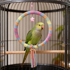 NonoPets Interactive Colorful Rainbow Gradient Hanging Ring Cotton Rope Bird Swing with Star Toy slide 1 of 5