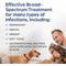 Show in main carousel: Albon (sulfadimethoxine) Oral Suspension 5% for Dogs & Cats, 16-oz slide 4 of 8