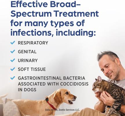 Show full view: Albon (sulfadimethoxine) Oral Suspension 5% for Dogs & Cats, 16-oz slide 4 of 8