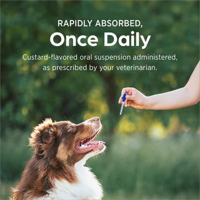 Show full view: Albon (sulfadimethoxine) Oral Suspension 5% for Dogs & Cats, 16-oz slide 5 of 8