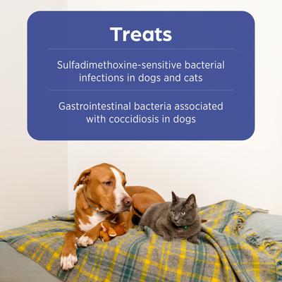Show full view: Albon (sulfadimethoxine) Oral Suspension 5% for Dogs & Cats, 16-oz slide 3 of 8
