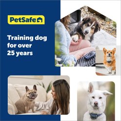 PetSafe Clik-R Dog & Cat Training Tool, Yellow/Blue slide 2 of 8