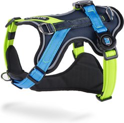 myfamily Memopet H Dog Harness, Blue/Green, X-Large: 31.5 to 44.5-in chest