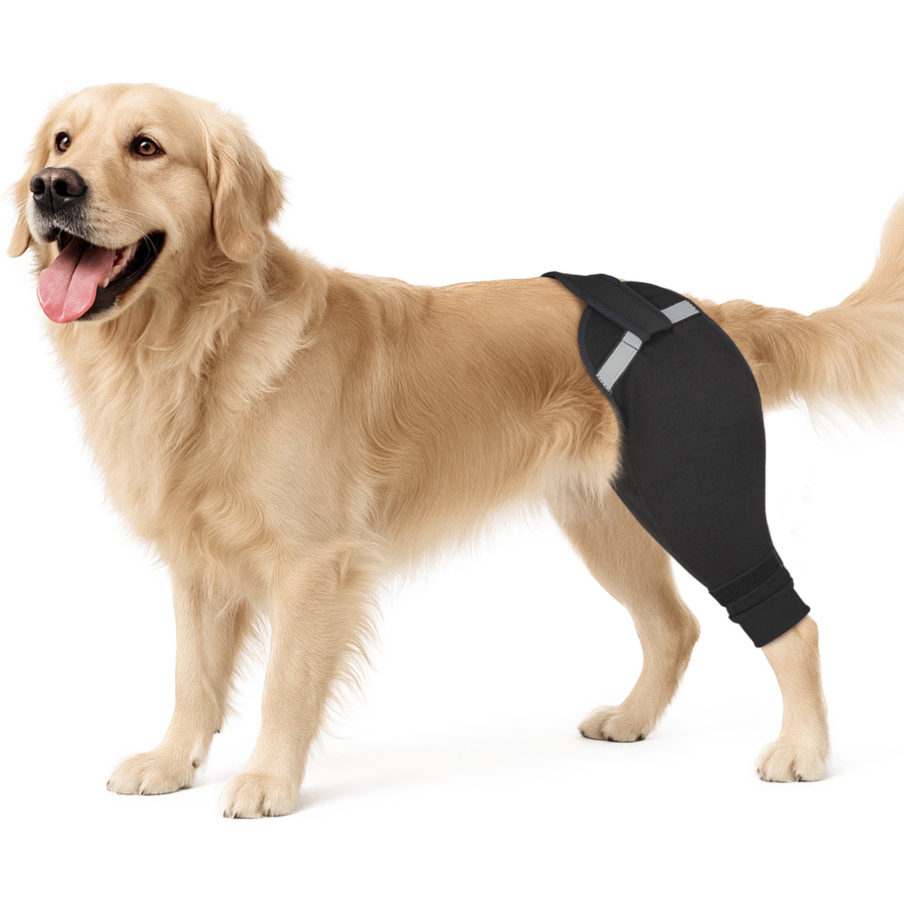 Supet Upgraded Shap to Stop Licking Dog Rear Right Leg Sleeve, Black, XX-Large