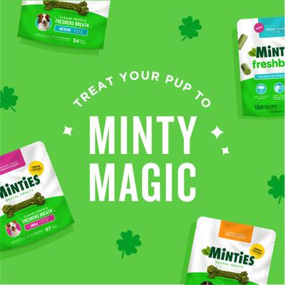 Show full view: Minties FreshBites Soft & Chewy Dog Dental Treats, 100 count slide 3 of 11