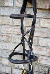 Camelot Fancy Rasied Bridle, Australian Nut, Cob