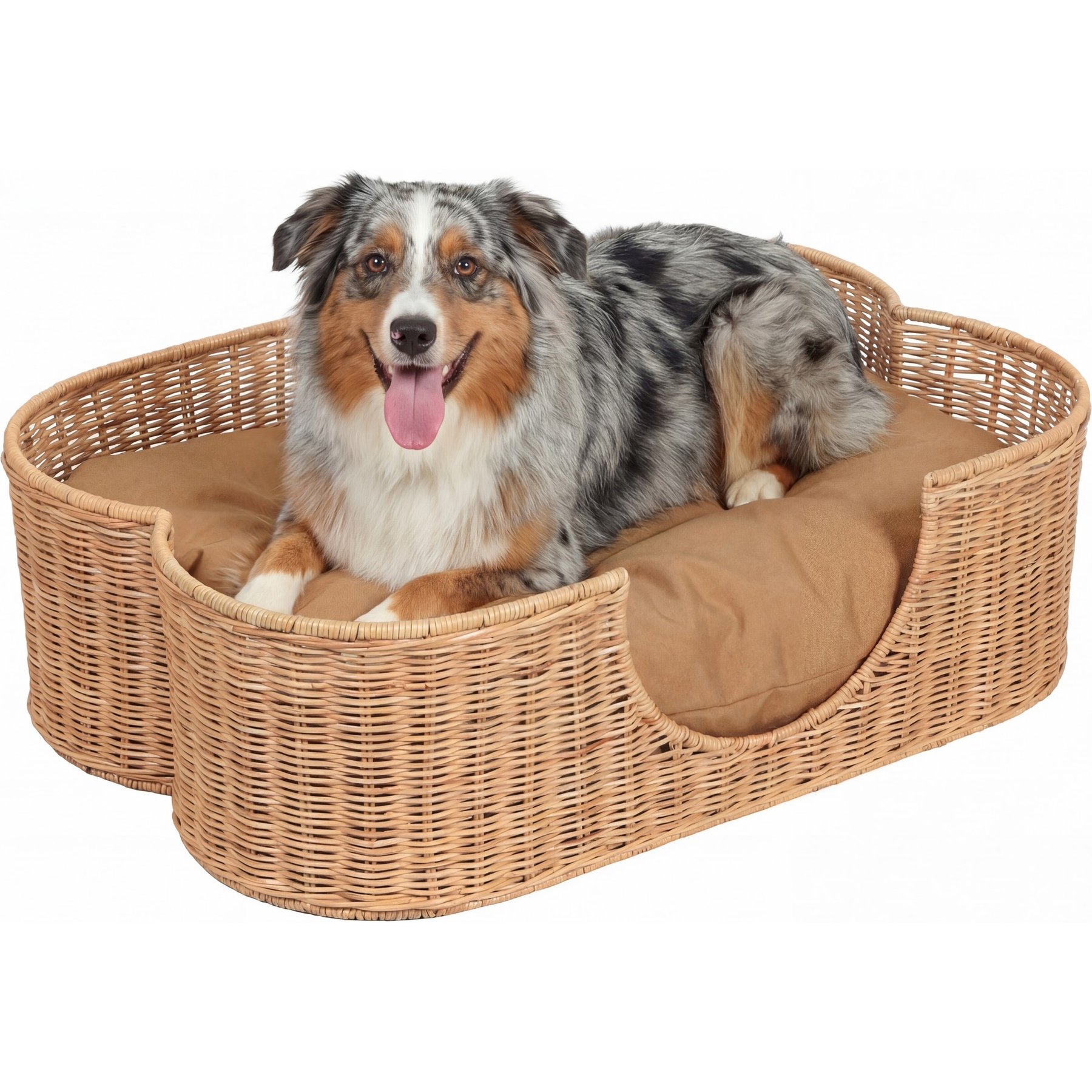 THE LICKER STORE Scallop Tropical Handwoven Rattan Elevated Dog & Cat Sofa Bed, Light Brown, 31 x 20-in