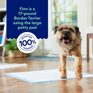 Chewy Made Large Premium Dog Training & Potty Pads (FORMERLY FRISCO), 22 x 23-in, Unscented, 150 count