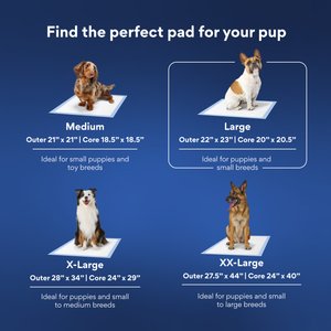 Chewy Made Large Premium Dog Training & Potty Pads (FORMERLY FRISCO), 22 x 23-in, Unscented, 150 count