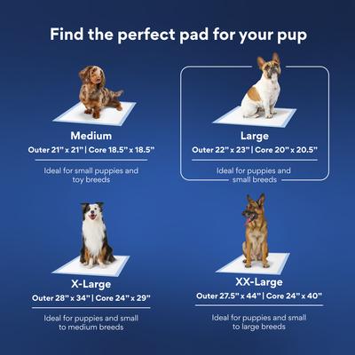 Show full view: Chewy Made Large Premium Dog Training & Potty Pads (FORMERLY FRISCO), 22 x 23-in, Unscented, 150 count slide 7 of 10