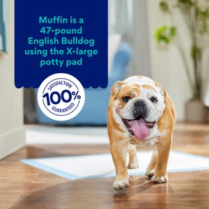 Chewy Made X-Large Premium Dog Training & Potty Pads (FORMERLY FRISCO), 28 x 34-in, Unscented, 75 count