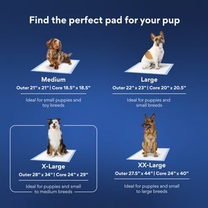 Chewy Made X-Large Premium Dog Training & Potty Pads (FORMERLY FRISCO), 28 x 34-in, Unscented, 75 count