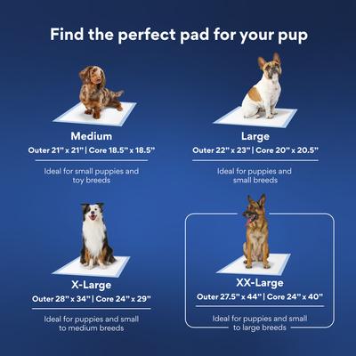 Show full view: Chewy Made XXL Premium Dog Training & Potty Pads (FORMERLY FRISCO), 27.5 x 44-in, Unscented, 100 count slide 7 of 10