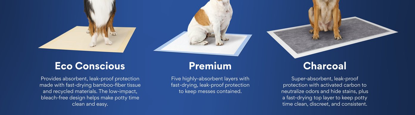 Eco Conscious Provides absorbent, leak-proof protection made with fast-drying bamboo-fiber tissue and recycled materials. The low-impact, bleach-free design helps make potty time clean and easy Premium Five highly-absorbent layers with fast-drying, leak-proof protection to keep messes contained Charcoal Super-absorbent, leak-proof protection with activated carbon to neutralize odors and hide stains, plus a fast-drying top layer to keep potty time clean, discreet, and consistent