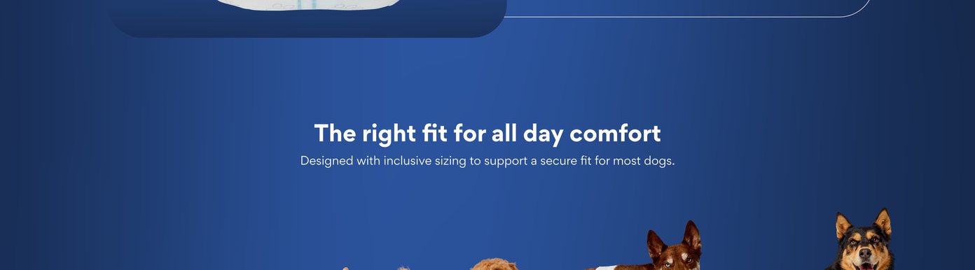 The right fit for all day comfort Designed with inclusive sizing to support a secure fit for most dogs