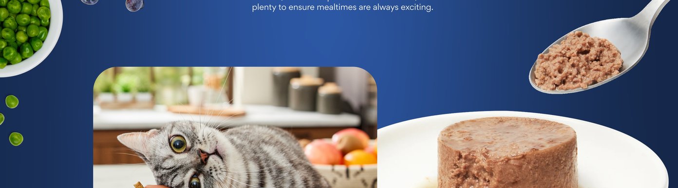 Irresistible tastes & textures Delicious flavors and textures-from crunchy treats and kibble, to smooth pates and tender fillets, there's plenty to ensure mealtimes are always exciting.