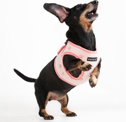 Puppia Pawprint Step-In No-Pull Dog Harness, Indian Pink, X-Large: 19.2-in chest slide 2 of 5