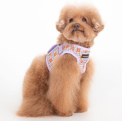 Puppia Westley Flower Pattern Step-In No-Pull Dog Harness, Violet, Large: 16.3-in chest slide 2 of 5