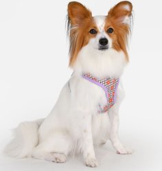 Puppia Westley Over-the-Head Flower Pattern No-Pull Dog Harness, Violet, X-Large: 21.9 to 31-in chest slide 2 of 4