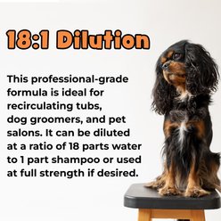 Bark & Clean Skin + Coat Deshedding Dog Shampoo, 128-fl oz bottle slide 2 of 8