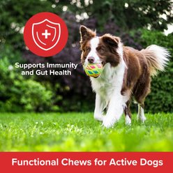 Plato Immunity & Gut Jerky Supplement for Dogs, 60 count slide 2 of 6
