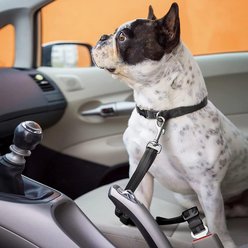 NonoPets Heavy-Duty Adjustable Dog & Cat Car Headrest Seat Belt, Blue slide 2 of 9