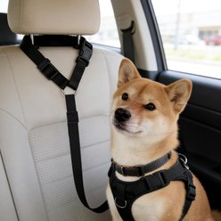 NonoPets Adjustable Dog & Cat Car Safety Seatbelt, Black slide 2 of 8