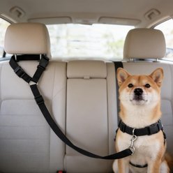 NonoPets Adjustable Dog & Cat Car Safety Seatbelt, Black