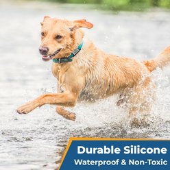 GoTags Personalized Engraved Silicone Slide On No Noise Dog & Cat ID Tag, Sea Foam, Large slide 2 of 6