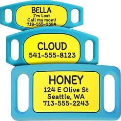 GoTags Personalized Engraved Silicone Slide On No Noise Dog & Cat ID Tag, Tropical, Medium