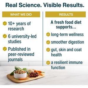 JustFoodForDogs Sampler Variety Box Frozen Human-Grade Fresh Dog Food, 18-oz pouch, case of 7