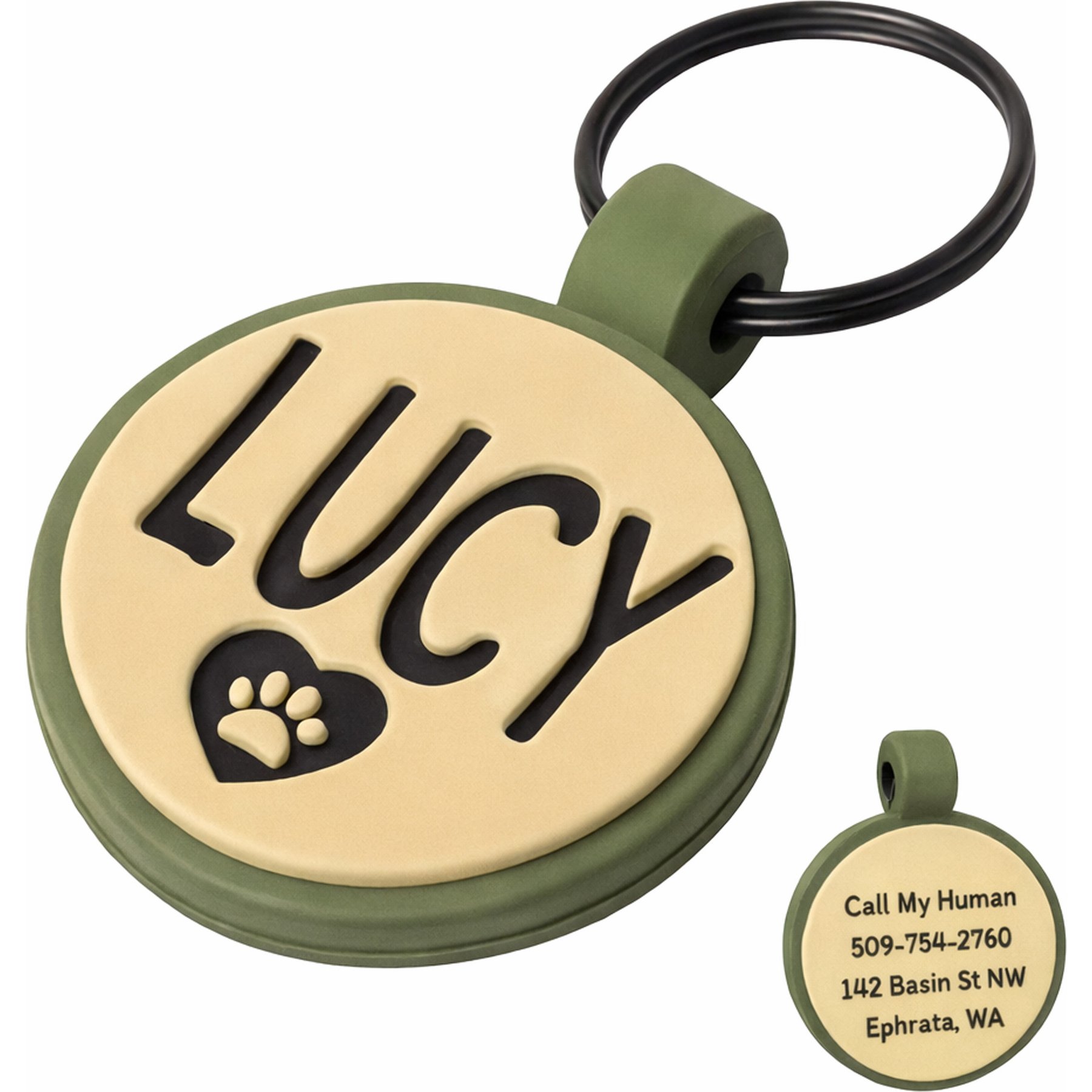 GoTags Round Shaped Personalized Engraved Silicone No Noise Dog & Cat ID Tag, Pistachio