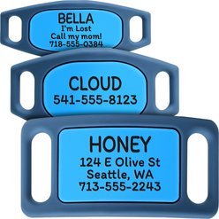 GoTags Personalized Engraved Silicone Slide On No Noise Dog & Cat ID Tag, Cyan, Large